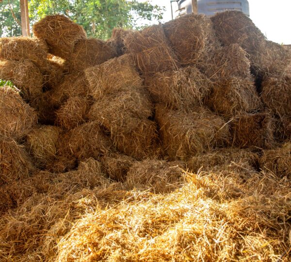 Hay & Silage Production